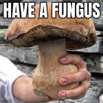 Fungus.jpg